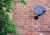 A picture of a satellite dish attached to a red brick wall
